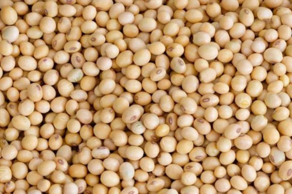 SOYBEANS