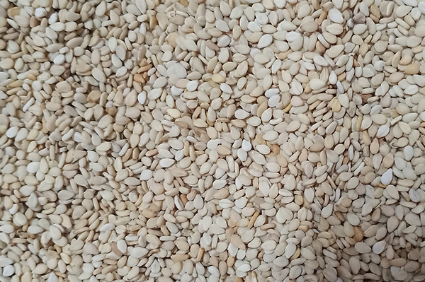 white-sesame-seeds